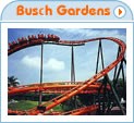 Bush Gardens