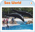 Sea World